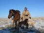 kazakh_shepard_with_dogs_and_horse.jpg