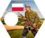 mm:polska-armia-ochotnicza.jpg